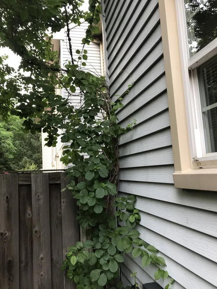 Trusted landscaping services with custom design in Laurel, MD by Chavez Tree Service