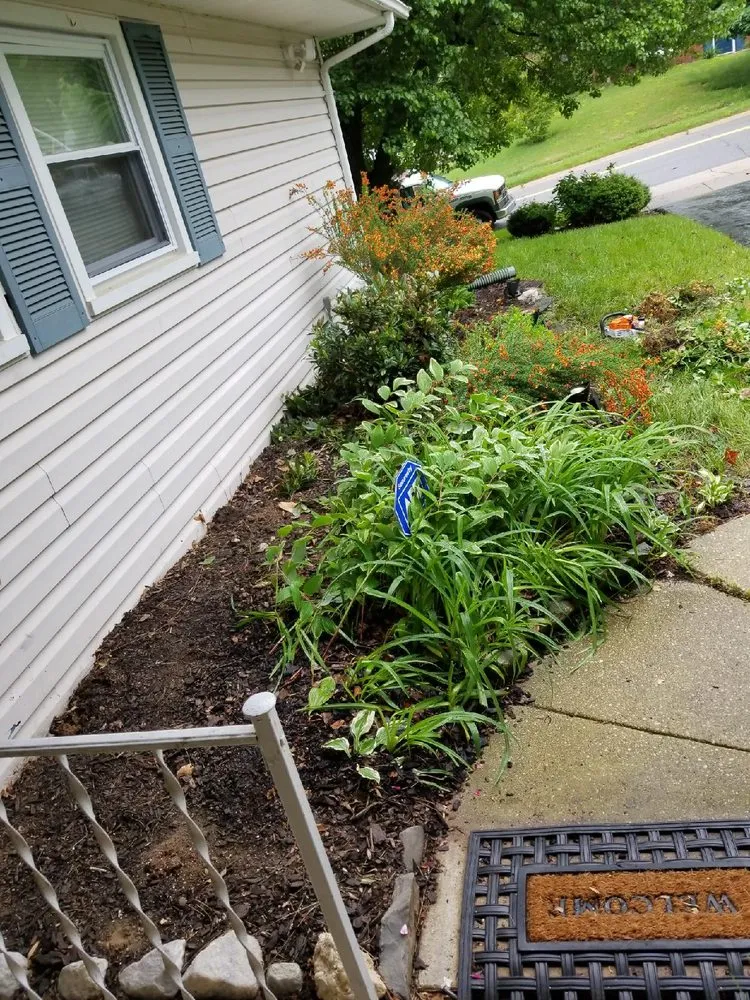 Local yard maintenance in Laurel, MD - Chavez Tree Service