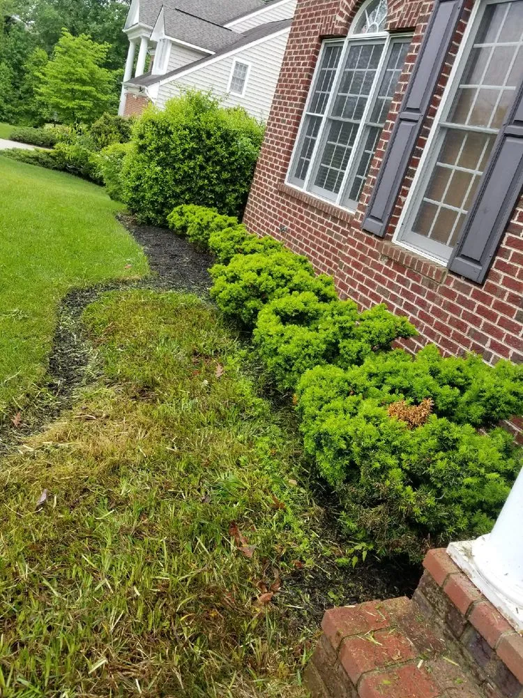 Top-rated yard maintenance in Laurel, MD - Chavez Tree Service