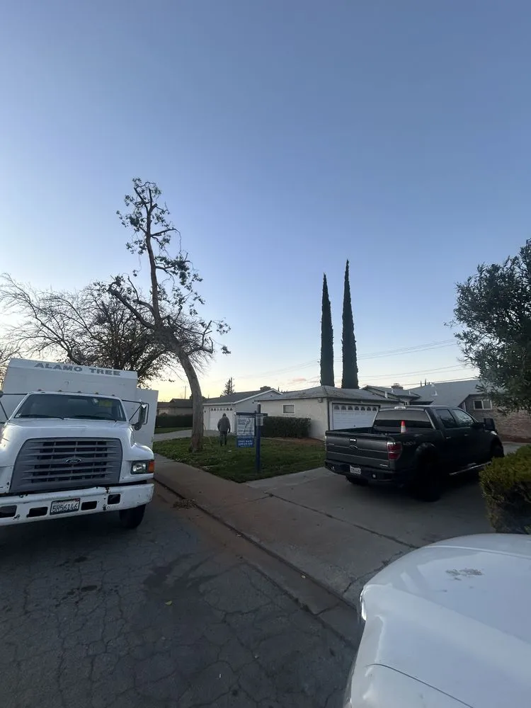 Reliable outdoor landscaping for year-round maintenance across Tracy, CA - Chavez Tree Service