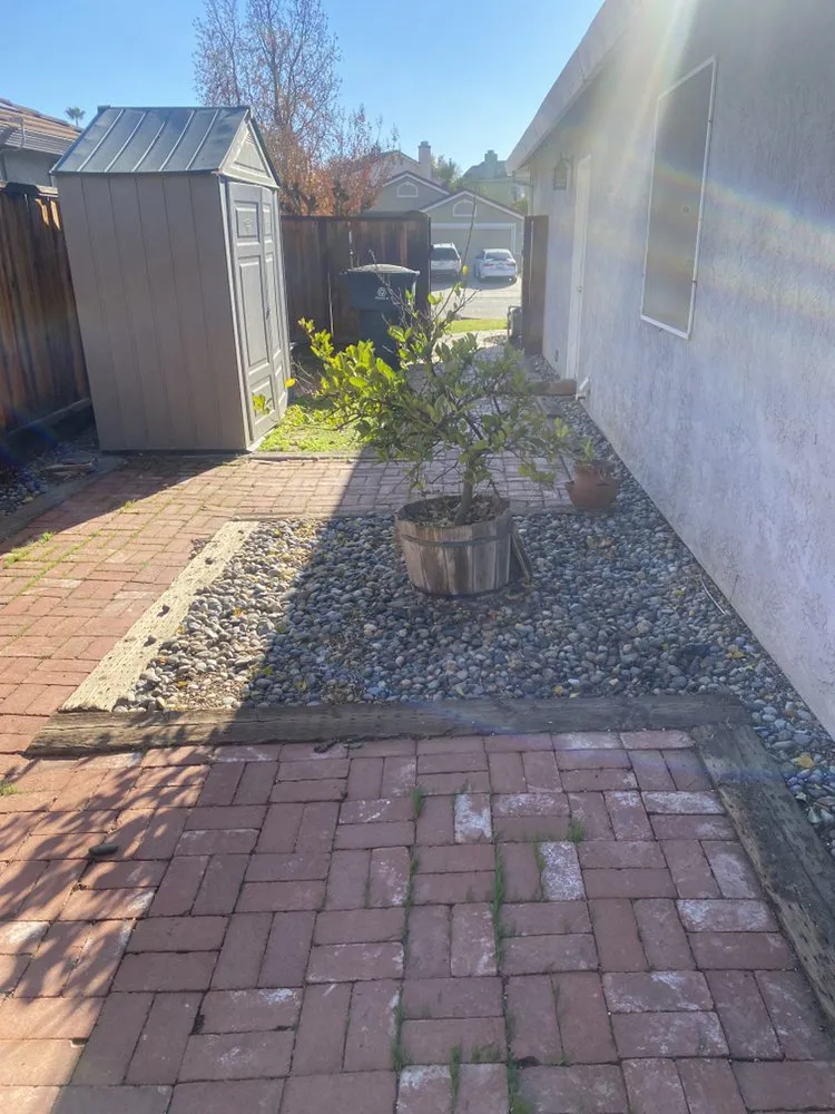 Top-rated landscaping services in Tracy, CA - Chavez Tree Service