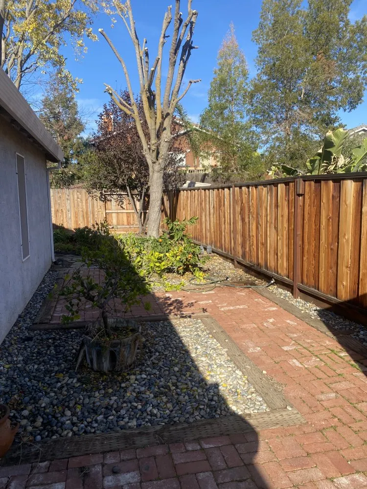 Trusted lawn mowing service for outdoor upgrades in Tracy, CA by Chavez Tree Service