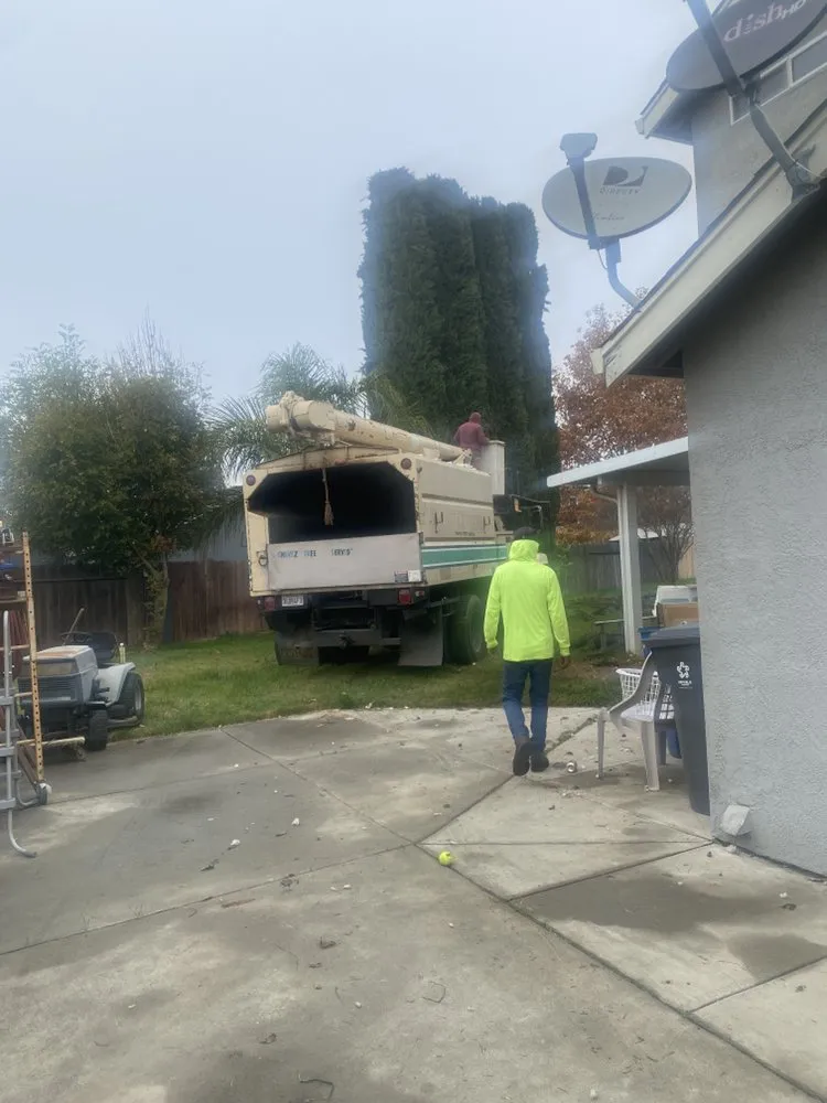 Trusted yard maintenance in Tracy, CA - Chavez Tree Service