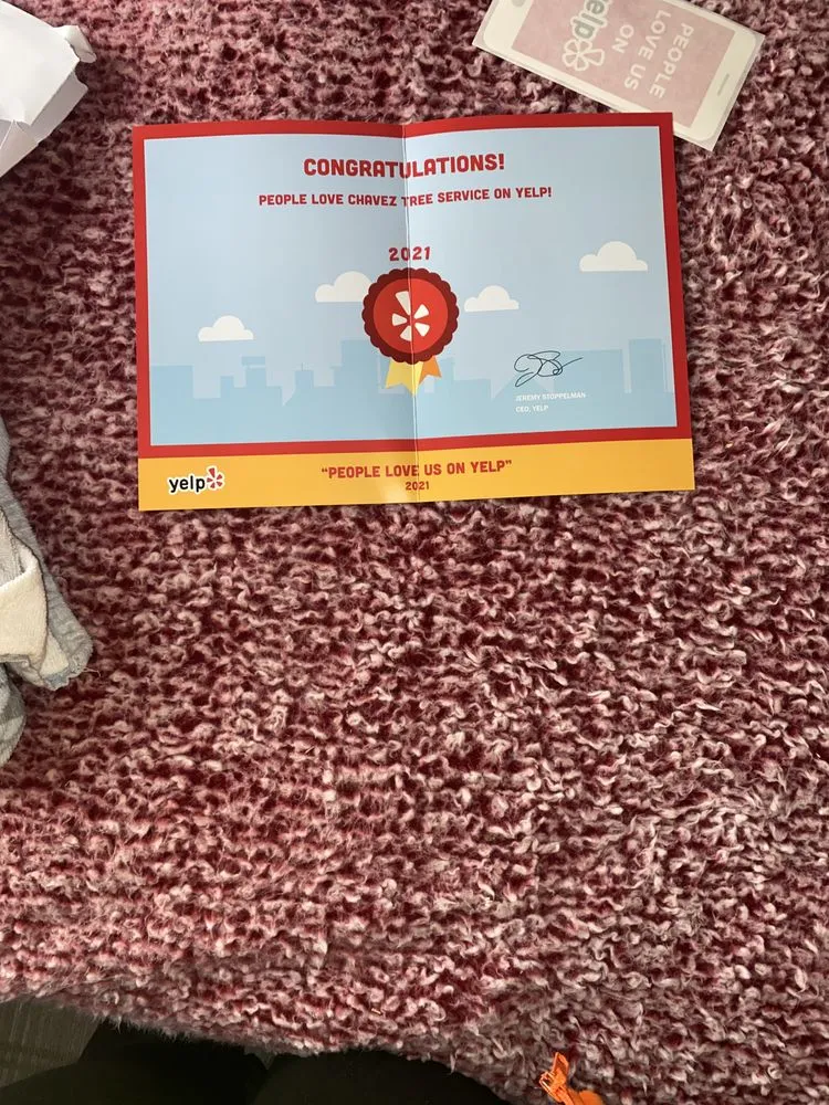 Trusted yard cleanup service for residential properties across Tracy, CA - Chavez Tree Service