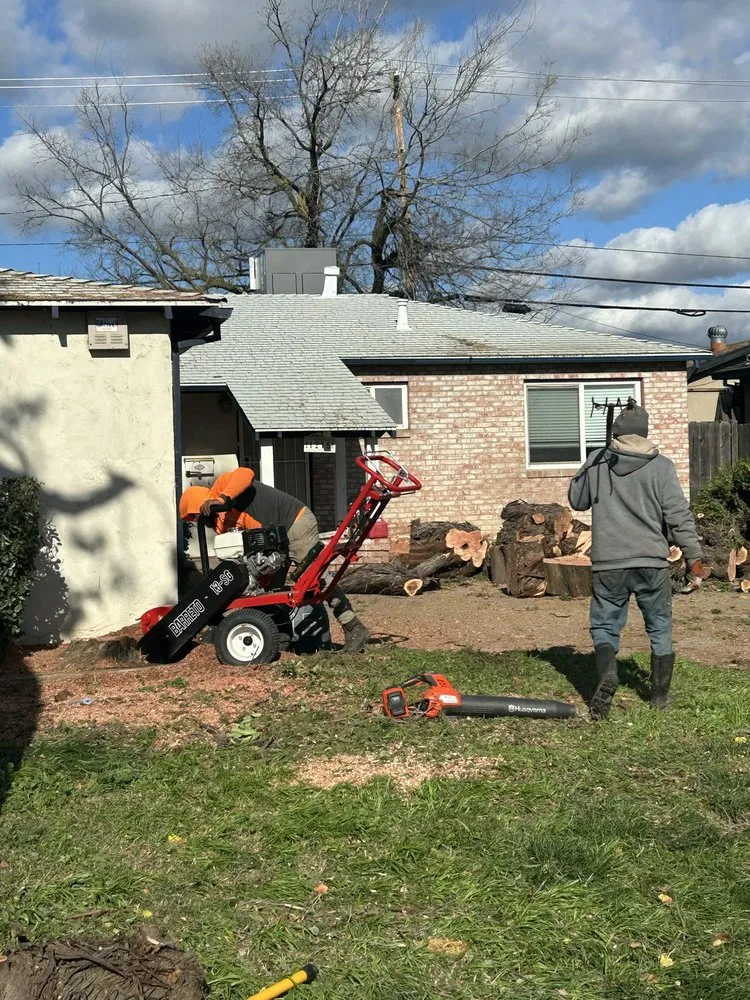 Professional outdoor landscaping in Tracy, CA - Chavez Tree Service