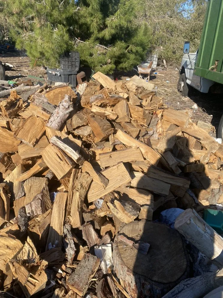 Custom landscape design for year-round maintenance in Tracy, CA by Chavez Tree Service