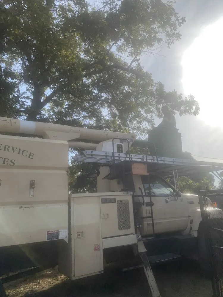 Custom lawn mowing service for outdoor upgrades across Tracy, CA - Chavez Tree Service