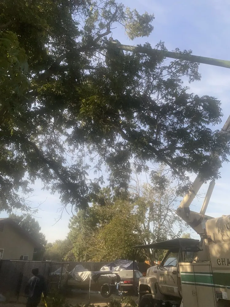 Professional residential landscaping for residential properties across Tracy, CA - Chavez Tree Service