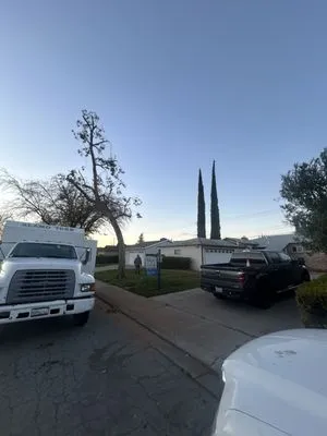 Chavez Tree Service Logo