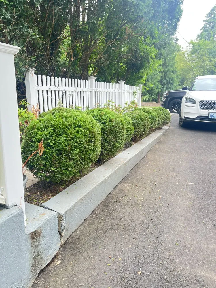Expert landscape installation in Central Falls, RI - Chavitas Garden