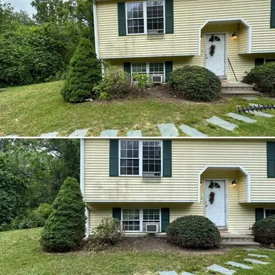 Chavitas Garden Logo