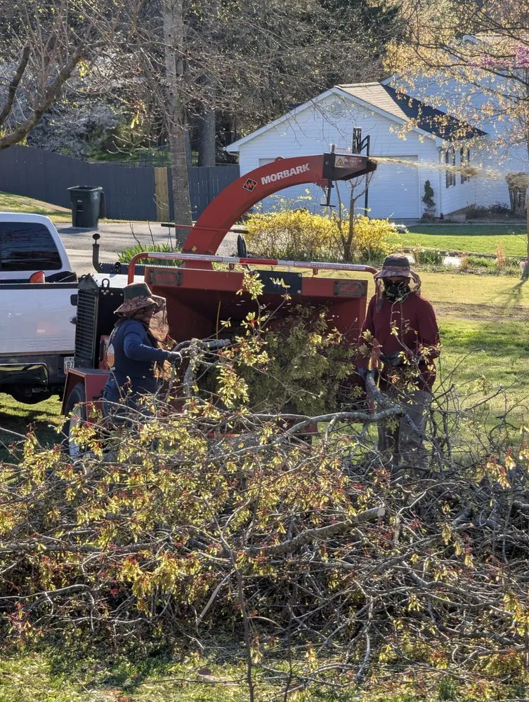 Local landscape installation experts serving Dalton, GA - Chavo Tree Services