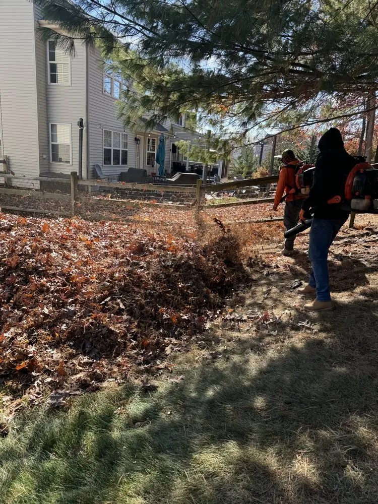 Expert landscaping services near you in Furlong, PA by Chavos Tree Service & Landscaping