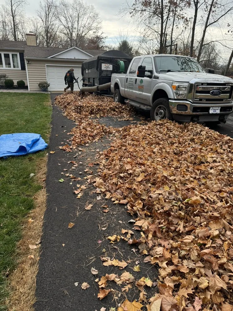 Affordable garden landscaping in Furlong, PA - Chavos Tree Service & Landscaping