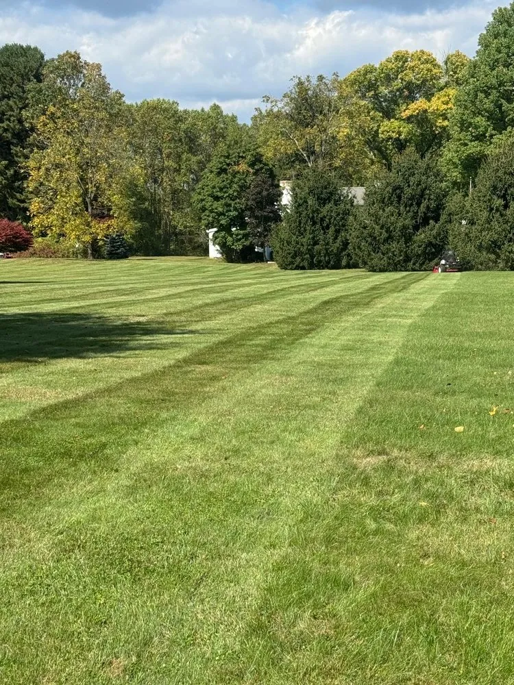 Affordable lawn mowing service in Furlong, PA by Chavos Tree Service & Landscaping