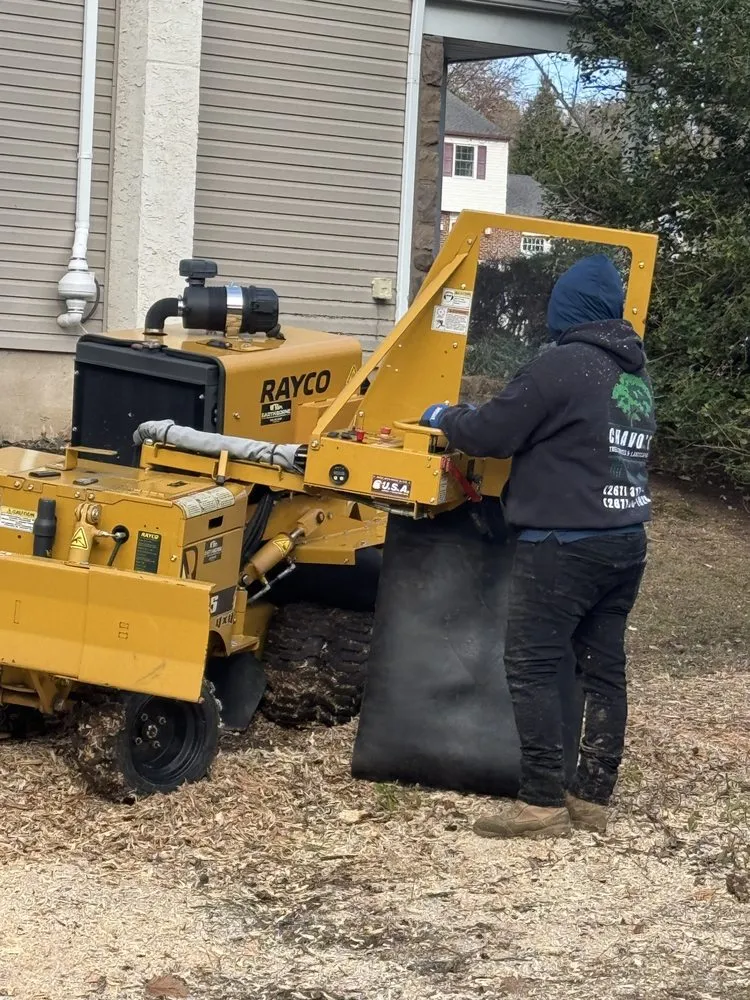 Trusted lawn care service for year-round maintenance in Furlong, PA by Chavos Tree Service & Landscaping