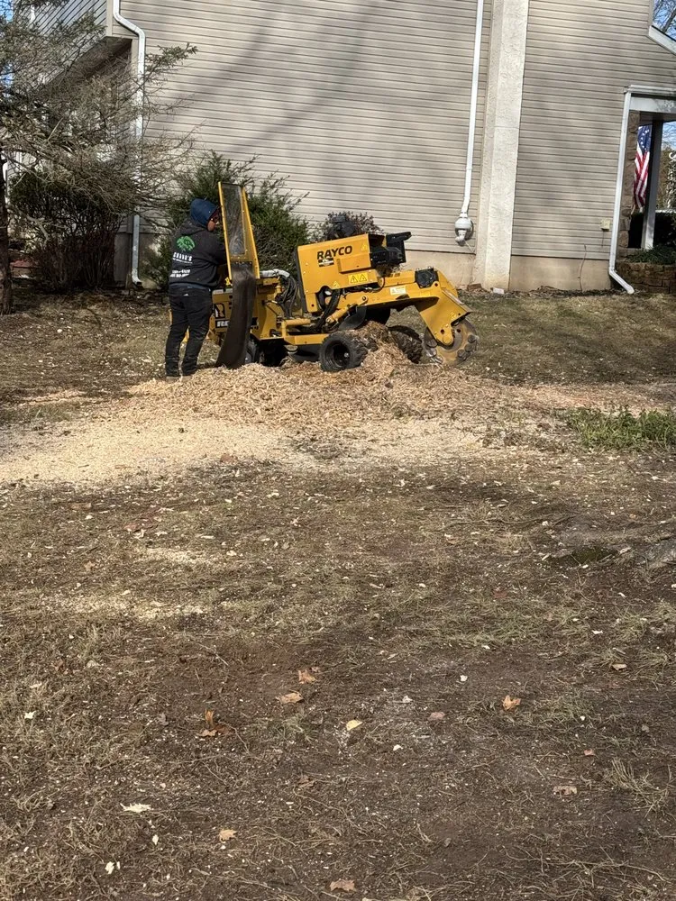 Trusted landscaping services near you in Furlong, PA by Chavos Tree Service & Landscaping