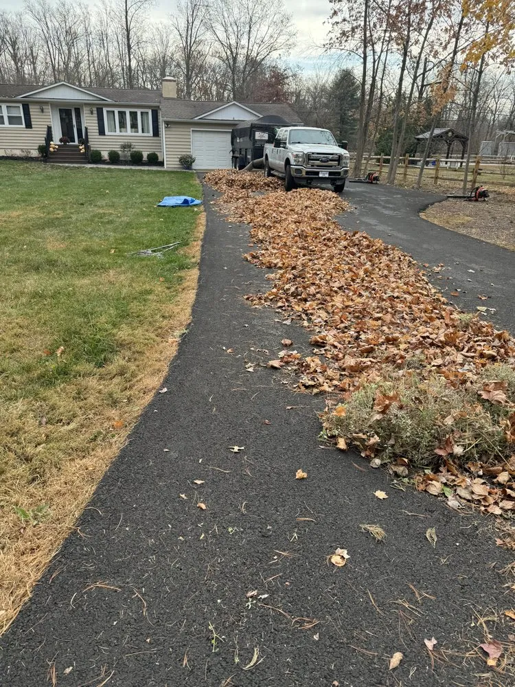 Local yard cleanup service in Furlong, PA by Chavos Tree Service & Landscaping