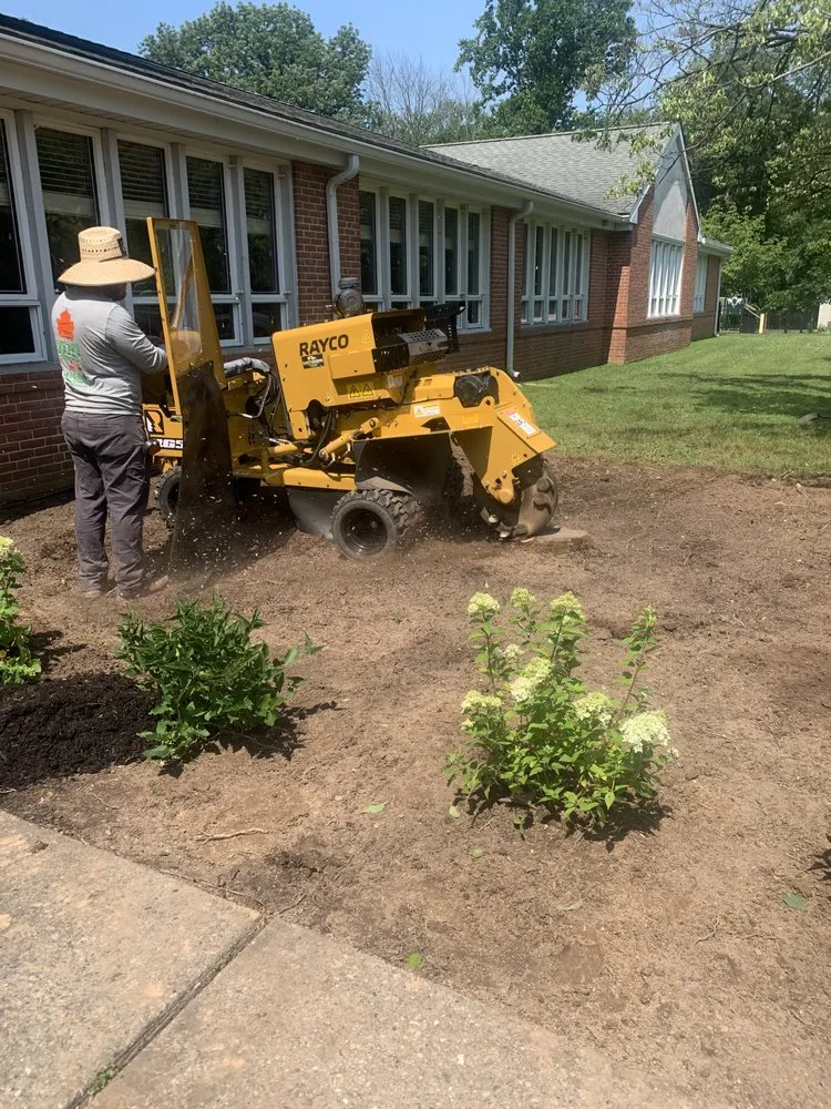 Reliable lawn mowing service experts serving Furlong, PA - Chavos Tree Service & Landscaping
