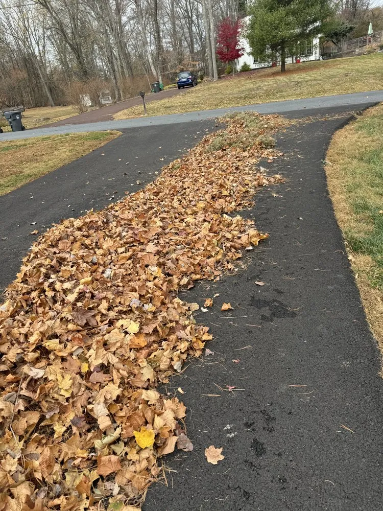 Expert landscape installation in Furlong, PA by Chavos Tree Service & Landscaping