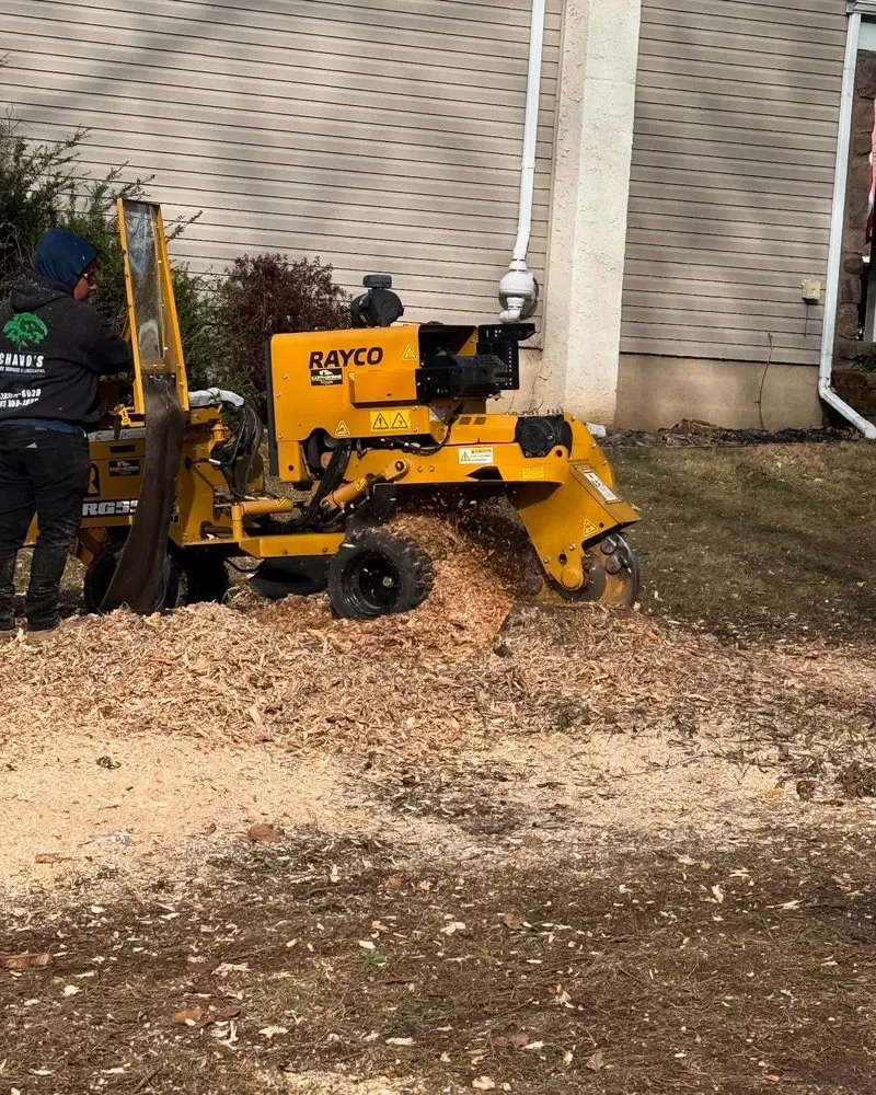 Top-rated yard maintenance in Furlong, PA - Chavos Tree Service & Landscaping
