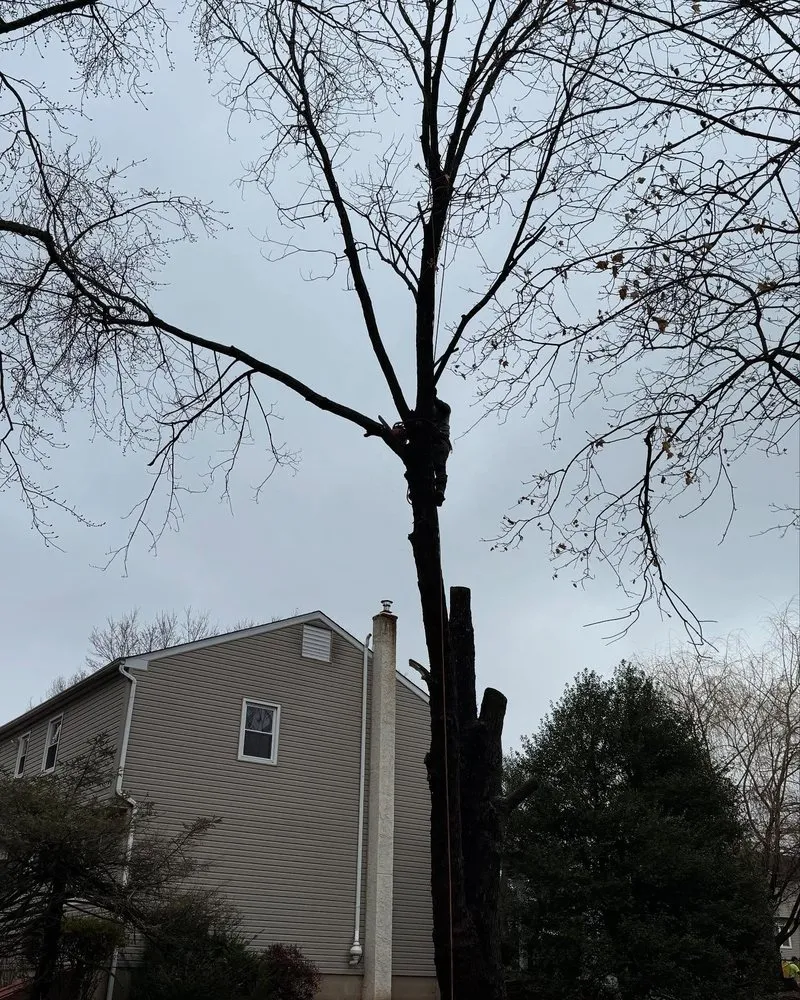 Reliable yard maintenance for beautiful yards in Furlong, PA by Chavos Tree Service & Landscaping