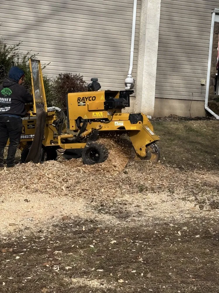 Affordable yard maintenance in Furlong, PA by Chavos Tree Service & Landscaping