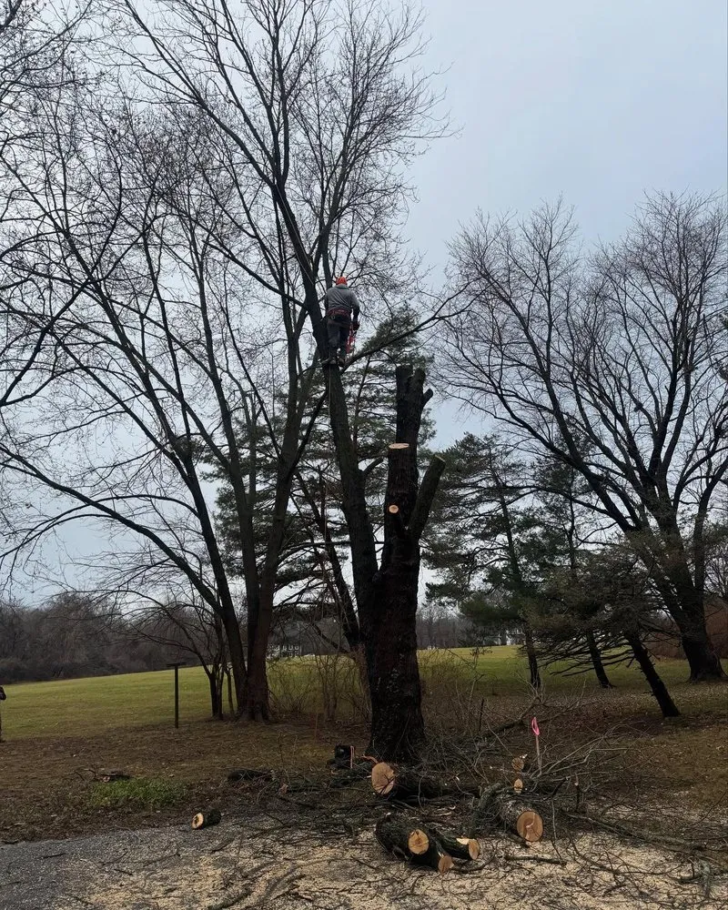 Custom garden landscaping experts serving Furlong, PA - Chavos Tree Service & Landscaping
