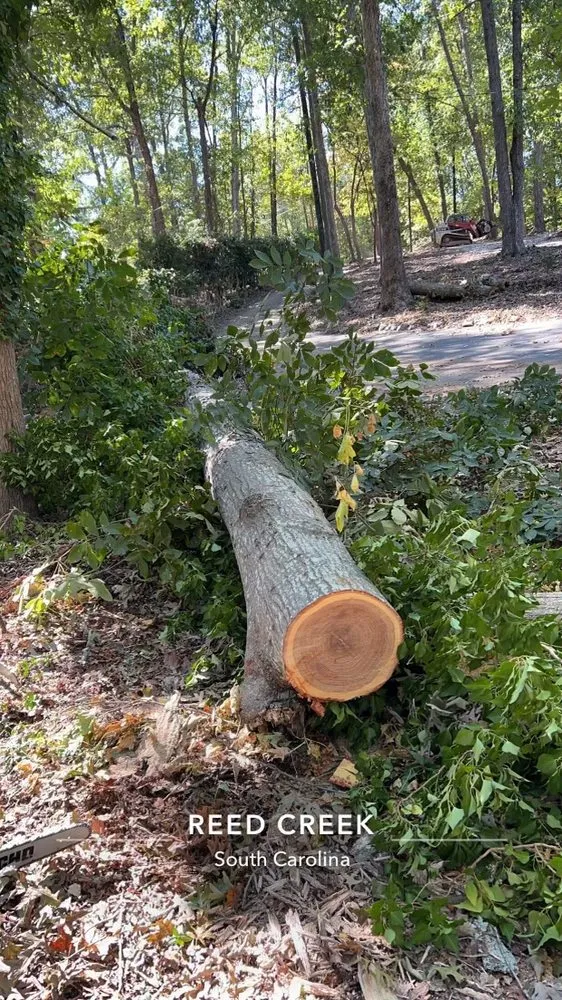 Local residential landscaping for residential properties in Anderson, SC by CHC Works