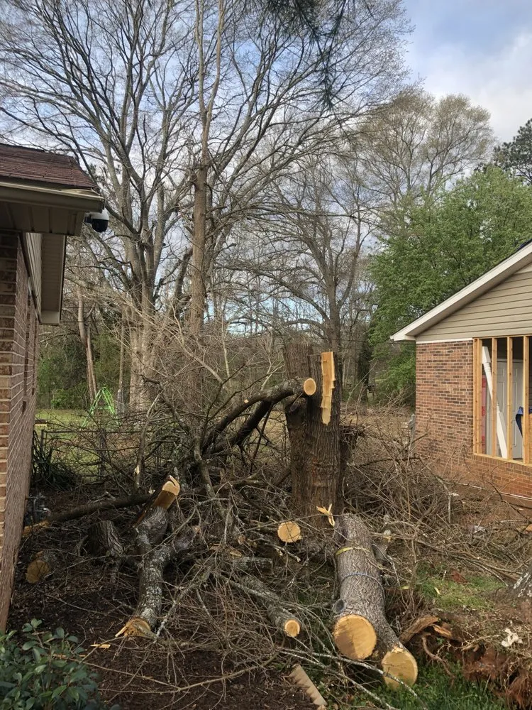 Reliable landscape design near you across Anderson, SC - CHC Works