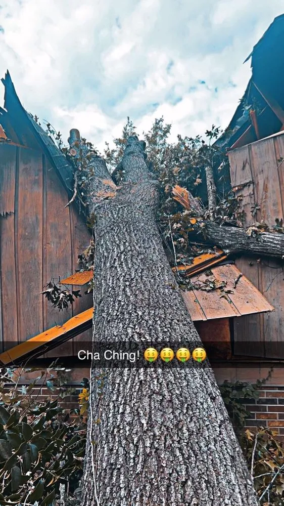 Local yard cleanup service in Anderson, SC by CHC Works