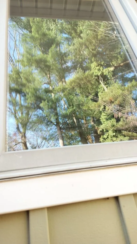 Reliable landscape design in Philadelphia, PA by Che Cleaning Service