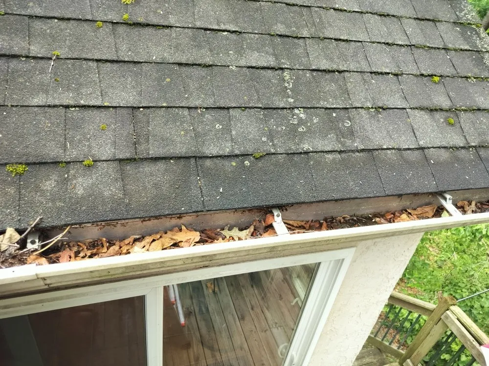 Custom landscape design experts serving Philadelphia, PA - Che Cleaning Service