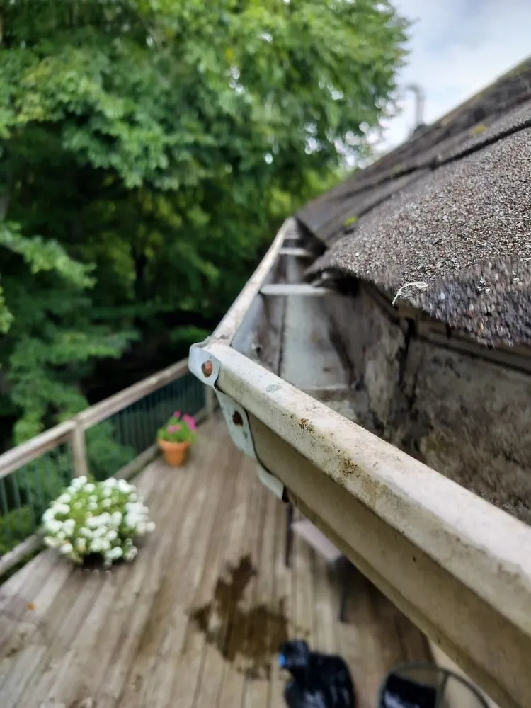 Custom landscape installation in Philadelphia, PA - Che Cleaning Service