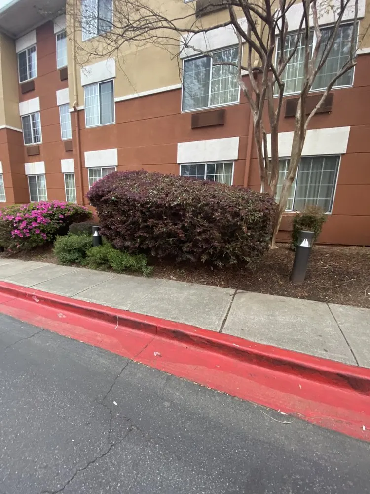 Custom residential landscaping near you across Charlotte, NC - Chealey Solutions