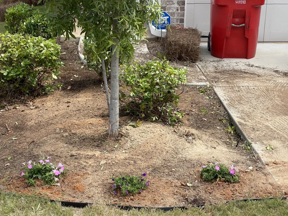 Trusted garden landscaping experts serving Charlotte, NC - Chealey Solutions