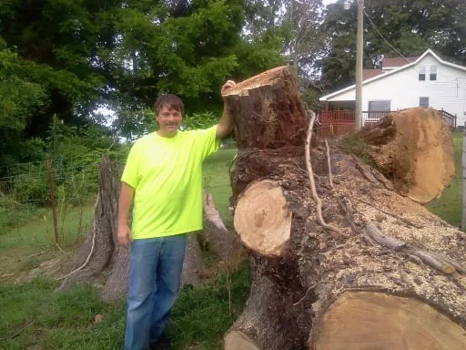 Cheap Cuts 2 Tree Service Logo