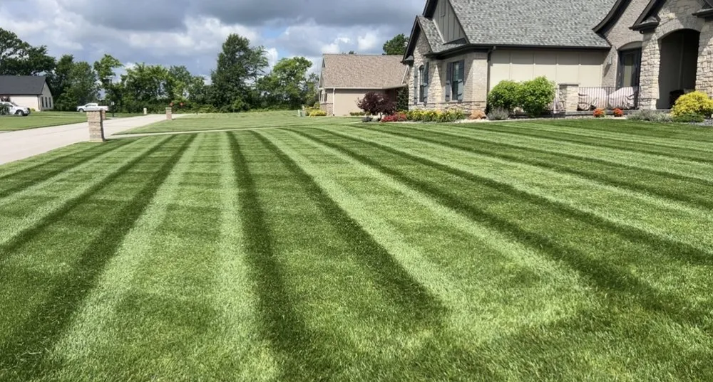 Top-rated yard maintenance experts serving Mount Dora, FL - Cheap Cuts Landscaping