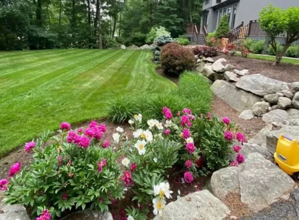 Affordable lawn care service experts serving Louisville, KY - Cheap Cuts Lawn Service