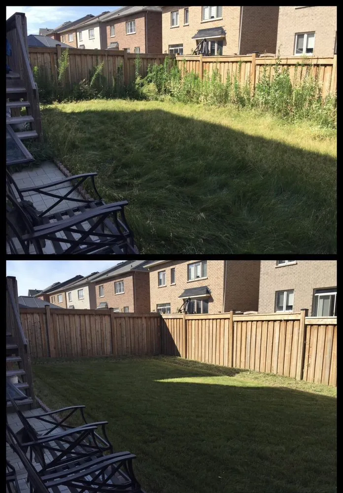 Reliable yard cleanup service with custom design across Pawtucket, RI - Cheap Grass Cut