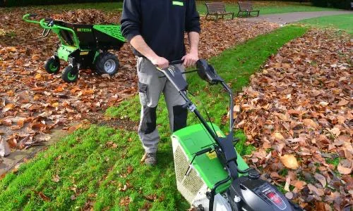 Affordable landscaping services in Pawtucket, RI - Cheap Grass Cut