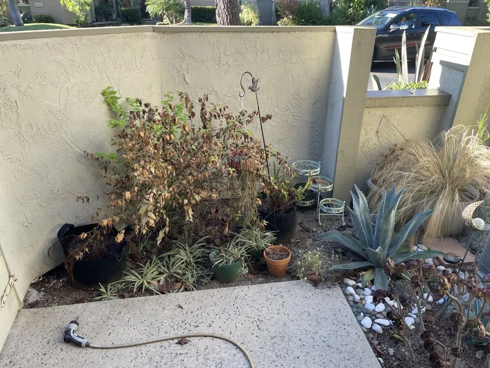 Professional landscape installation in Oceanside, CA by Cheap Landscape