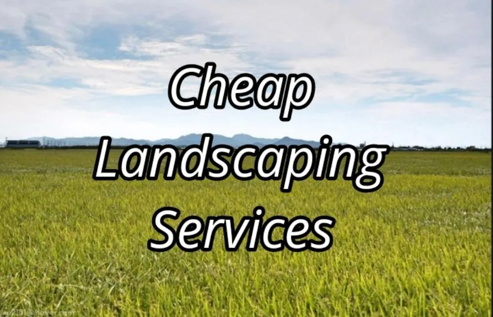 Reliable lawn care service in New Castle, DE by Cheap Landscaping Services