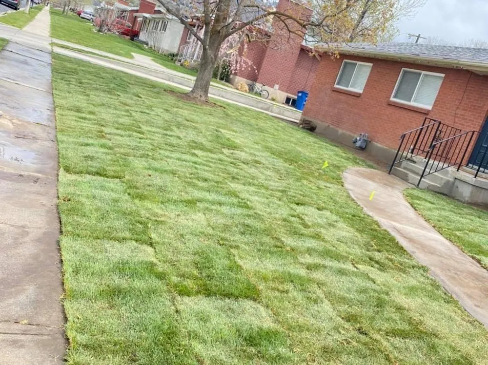 Reliable residential landscaping for residential properties across West Valley, UT - Cheap Landscaping