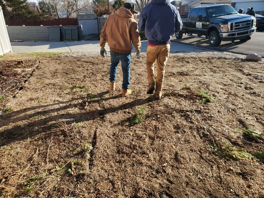Affordable lawn mowing service in West Valley, UT - Cheap Landscaping