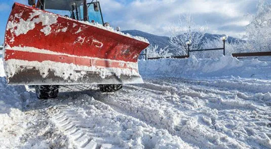 Affordable yard cleanup service in West Valley, UT by Cheap Landscaping