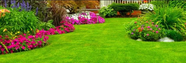 Reliable yard cleanup service in West Valley, UT by Cheap Landscaping