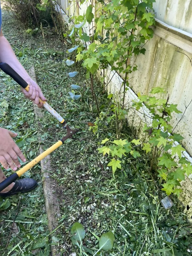 Trusted yard cleanup service for year-round maintenance in Bremen, GA by Cheap lawn care