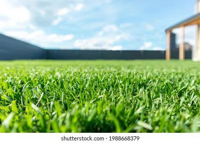 Custom lawn care service in Bremen, GA by Cheap lawn care