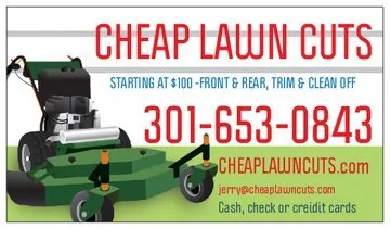 Cheap Lawn Cuts